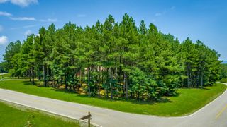 0 River Bluffs Drive Rb74, Jasper, TN 37347