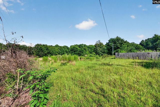 948 Peach Festival Road, Gilbert, SC 29054