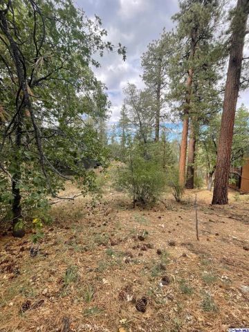 600 Travertine, Big Bear, CA 92314