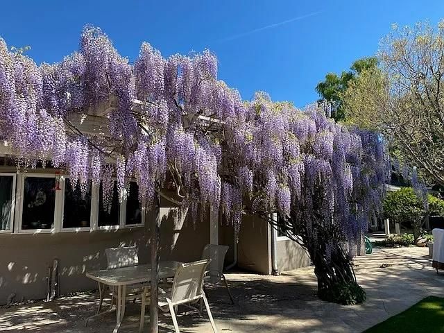 1100 Steinway Avenue, Campbell, CA 95008