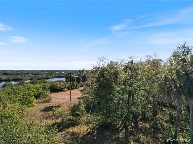 1465 S Surf Loop, Crystal River, FL 34429