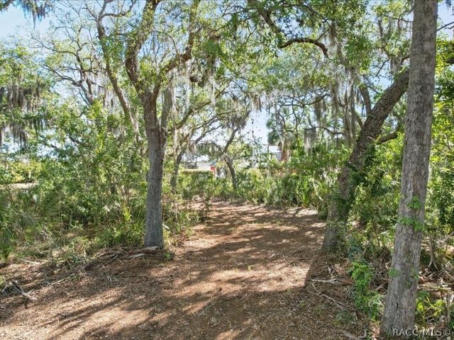 1465 S Surf Loop, Crystal River, FL 34429