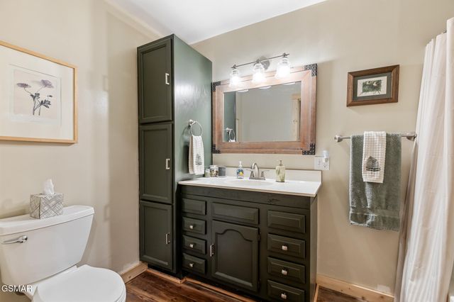 4527 E Scenic Drive, Gatlinburg, TN 37738