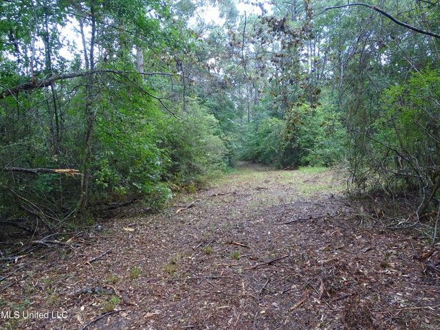 Sweetbay Lane, Wiggins, MS 39577