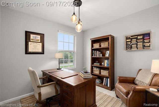 138 S Mill Street, Plymouth, MI 48170