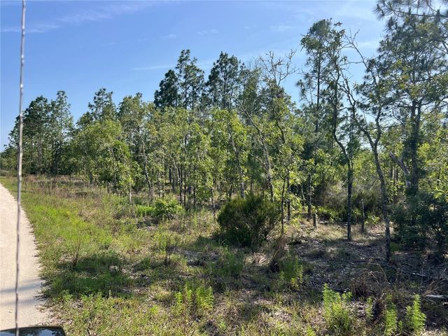 NE 151ST AVENUE, Williston, FL 32696