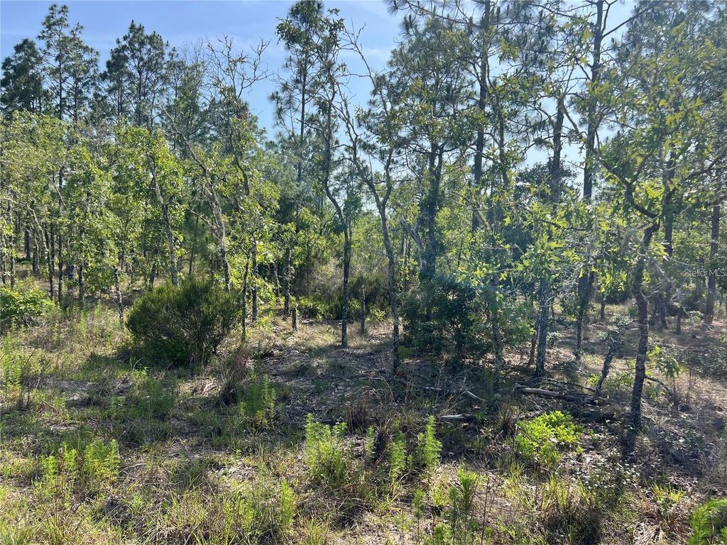 NE 151ST AVENUE, Williston, FL 32696
