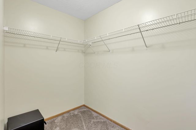 7743 Solomen Run Drive, Blacklick, OH 43004