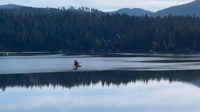 14979 N Shenandoah DR, Hayden, ID 83835