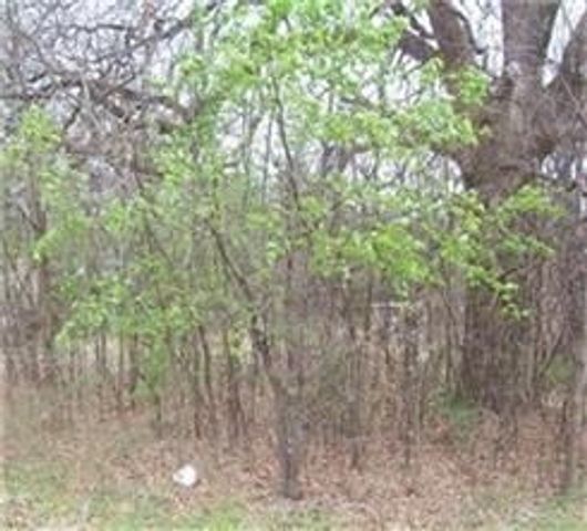 164 Sioux Drive, Gordonville, TX 76245