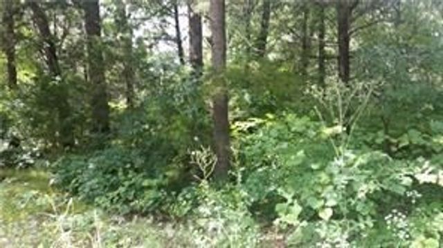 164 Sioux Drive, Gordonville, TX 76245