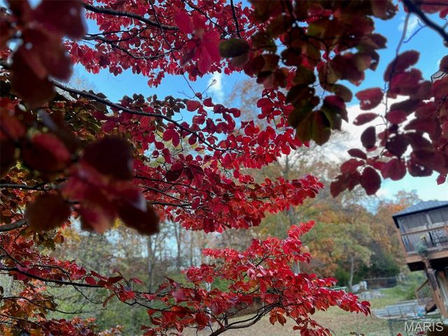 17 Praise Court, Fenton, MO 63026