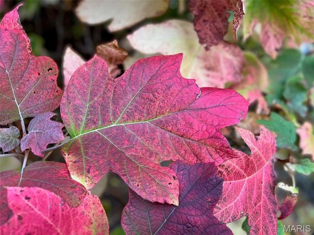 17 Praise Court, Fenton, MO 63026