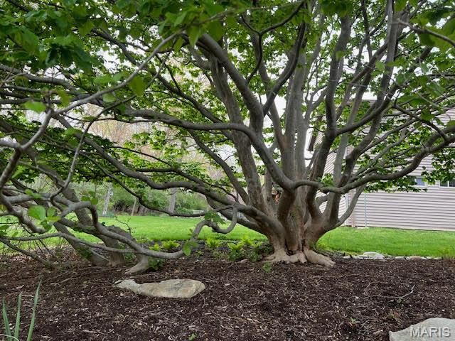 17 Praise Court, Fenton, MO 63026