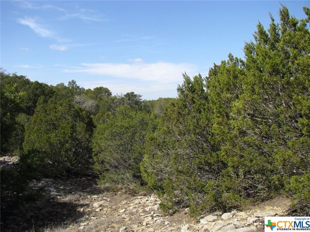 Lot 42 Ph 4 PR 42129, Evant, TX 76525