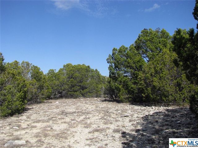 Lot 42 Ph 4 PR 42129, Evant, TX 76525