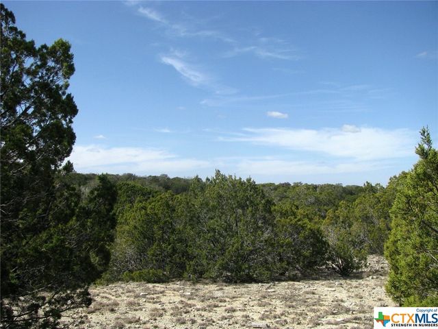 Lot 42 Ph 4 PR 42129, Evant, TX 76525