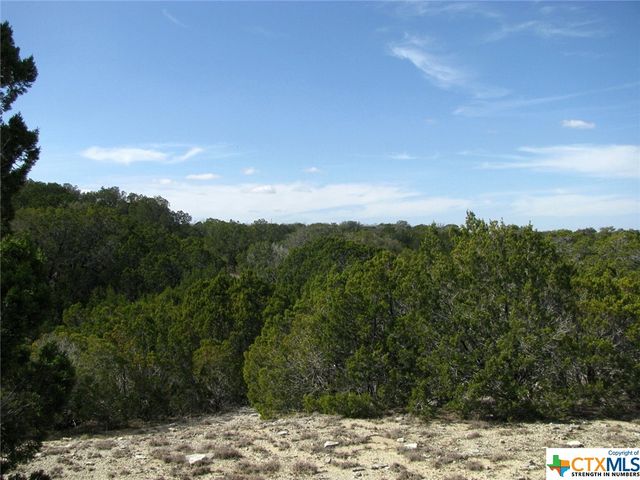 Lot 42 Ph 4 PR 42129, Evant, TX 76525