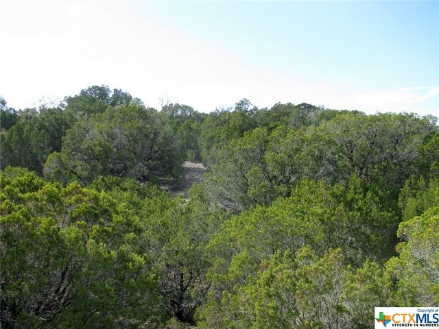 Lot 42 Ph 4 PR 42129, Evant, TX 76525