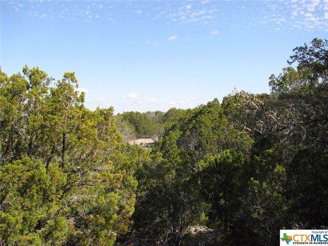 Lot 42 Ph 4 PR 42129, Evant, TX 76525