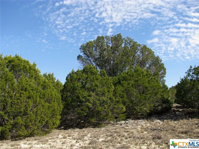 Lot 42 Ph 4 PR 42129, Evant, TX 76525