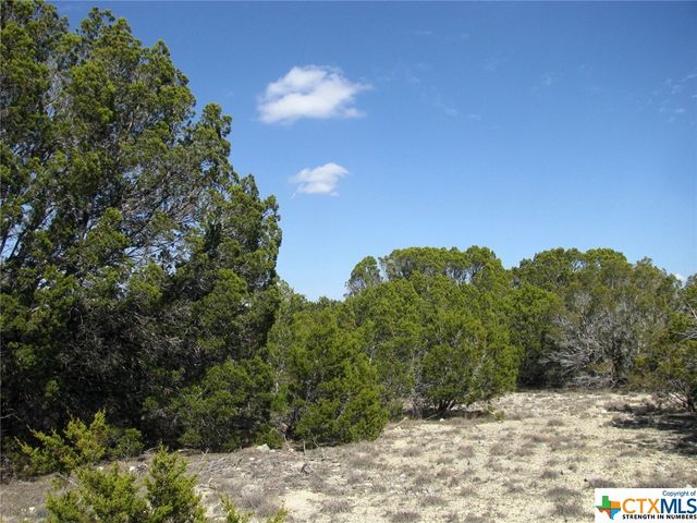 Lot 42 Ph 4 PR 42129, Evant, TX 76525