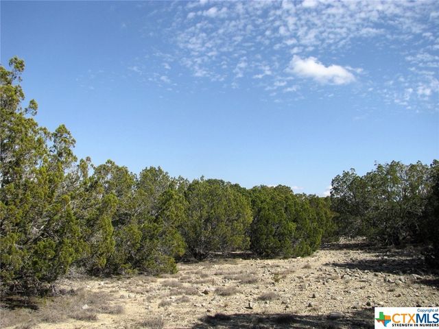 Lot 42 Ph 4 PR 42129, Evant, TX 76525