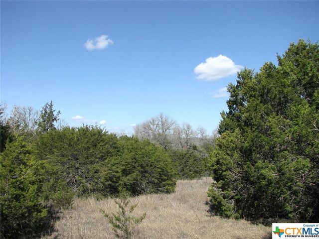Lot 42 Ph 4 PR 42129, Evant, TX 76525