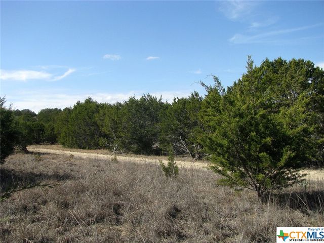Lot 42 Ph 4 PR 42129, Evant, TX 76525