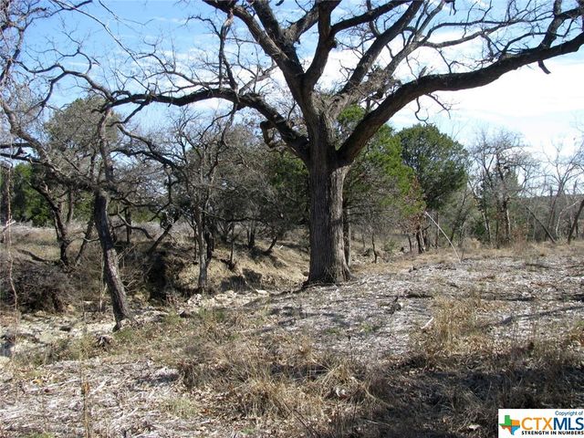 Lot 42 Ph 4 PR 42129, Evant, TX 76525