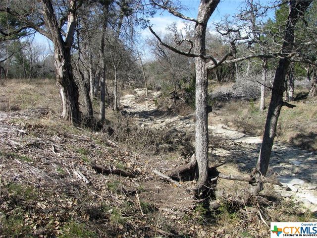 Lot 42 Ph 4 PR 42129, Evant, TX 76525