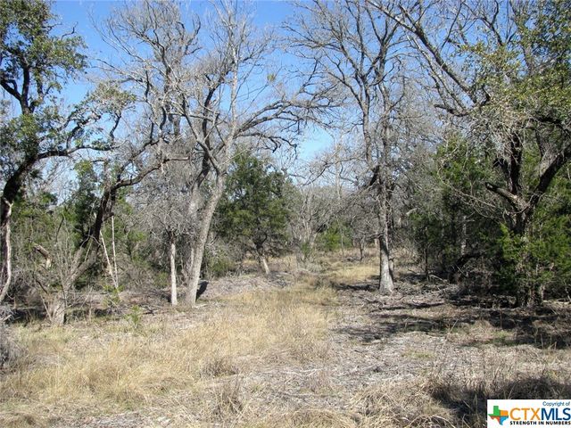 Lot 42 Ph 4 PR 42129, Evant, TX 76525
