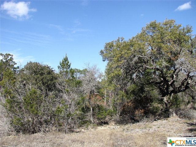 Lot 42 Ph 4 PR 42129, Evant, TX 76525
