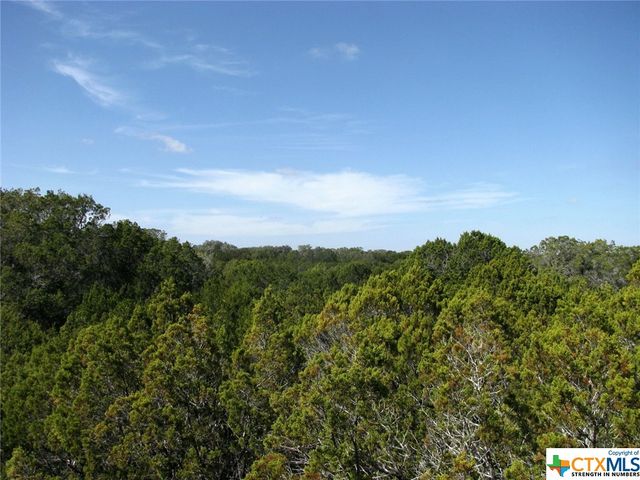 Lot 42 Ph 4 PR 42129, Evant, TX 76525