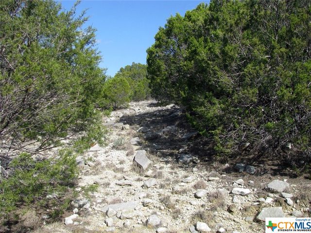 Lot 42 Ph 4 PR 42129, Evant, TX 76525
