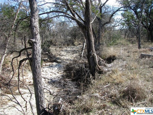 Lot 42 Ph 4 PR 42129, Evant, TX 76525