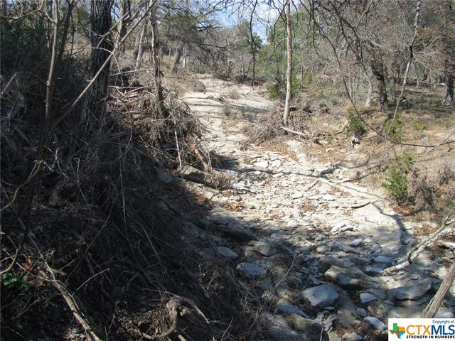Lot 42 Ph 4 PR 42129, Evant, TX 76525