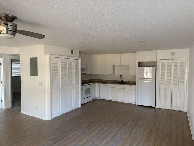 399 CARROLL ST STREET, Clermont, FL 34711