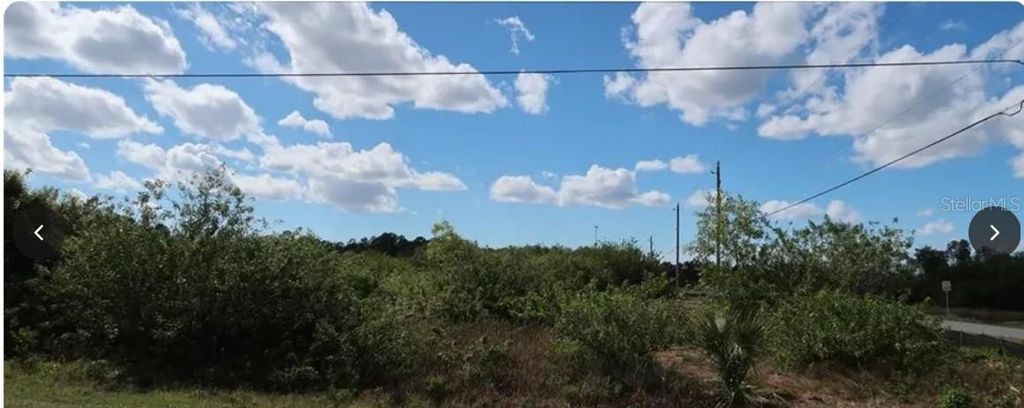 836 NEUSE AVENUE, Fort Myers, FL 33913