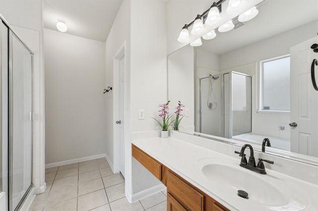 21417 Naples Hollow Lane, Porter, TX 77365