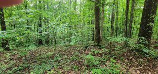 0 Poplar Pl, Smithville, TN 37166
