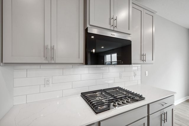 10560 Bent Pine Lane, Woodbury, MN 55129