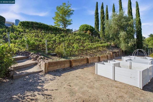 91 Shuey Dr, Moraga, CA 94556