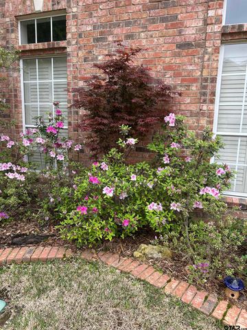 406 Brighton Court, Tyler, TX 75701