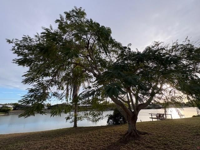 600 S NEPONSIT DRIVE, Venice, FL 34293