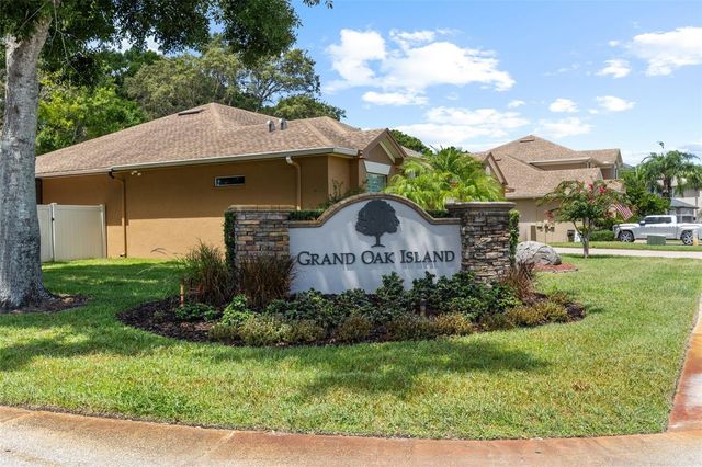 16715 EAGLE OAK DRIVE, Odessa, FL 33556