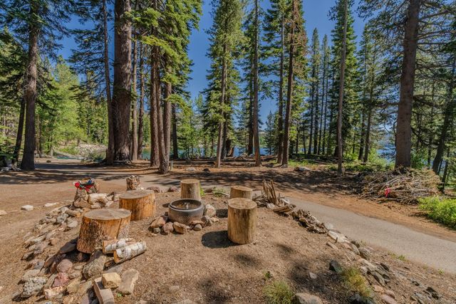 31790 Kit Carson Way, Pioneer, CA 95666