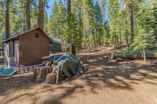 31790 Kit Carson Way, Pioneer, CA 95666