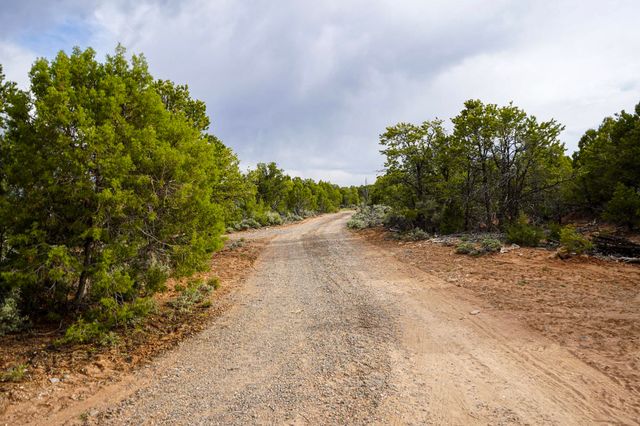 61020 Tres Coyotes Trail, Montrose, CO 81403