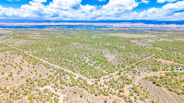 61020 Tres Coyotes Trail, Montrose, CO 81403